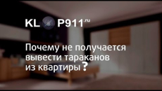 Prečo šváby niekedy nemožno odstrániť z bytu