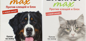 Blochnet продукти за котки и кучета: прегледи и инструкции за употреба