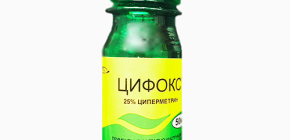 Botemedel mot vägglöss Tsifox