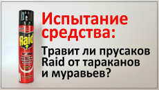 Experimentálne kontrolujeme, ako rýchlo Raid pôsobí proti švábom a mravcom