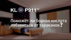 Ako používať kyselinu boritú zo švábov a v akých prípadoch je zbytočné ju používať