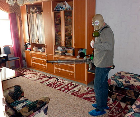 חיטוי החדר מחרקי פשתן