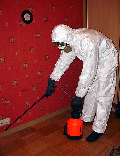 Disinfezione dell'appartamento dagli scarafaggi