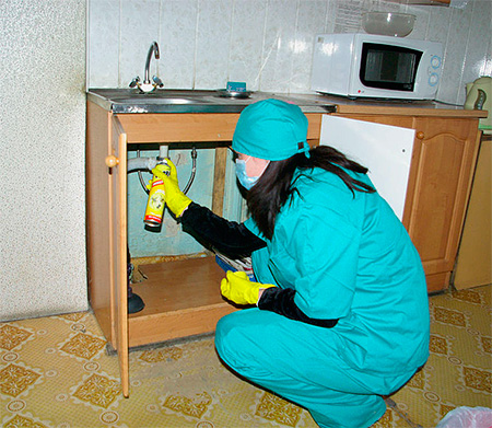 Gli spray devono essere spruzzati in luoghi di possibile accumulo di insetti.