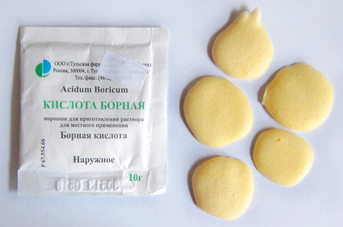 Esche avvelenate con acido borico