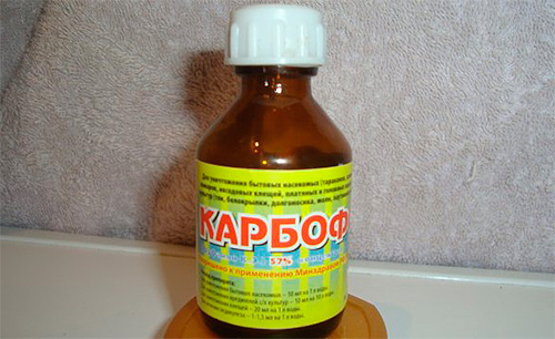 Karbofos de insetos em pequenas garrafas de vidro