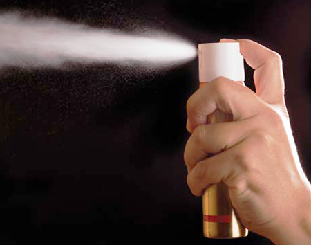 Gli aerosol delle cimici dei letti danno i risultati più rapidi