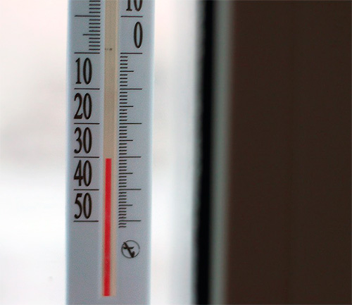 Le cimici dei letti muoiono al freddo