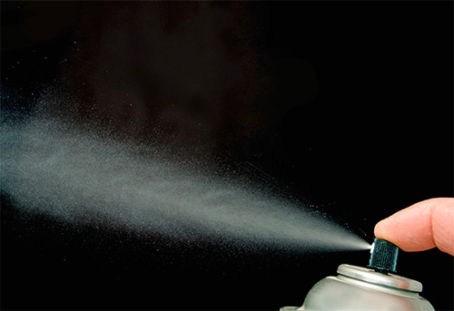 Aerosol insecticides allow you to eradicate ants from an apartment in a short time