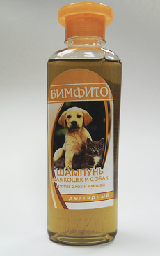 Shampoo Beam Phyto contém extrato de alcatrão de bétula
