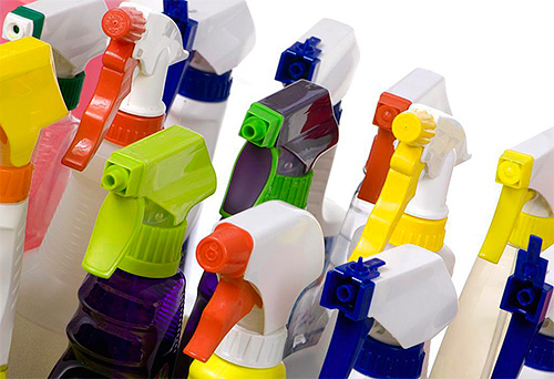 Sprays de pulgas podem matar parasitas muito rapidamente
