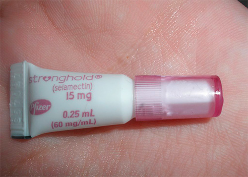 As gotas das pulgas na cernelha ajudam a remover os parasitas existentes e a prevenir o seu reaparecimento
