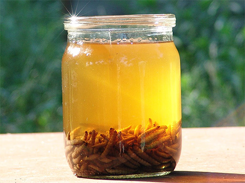 Extract or is it a wax moth tincture?