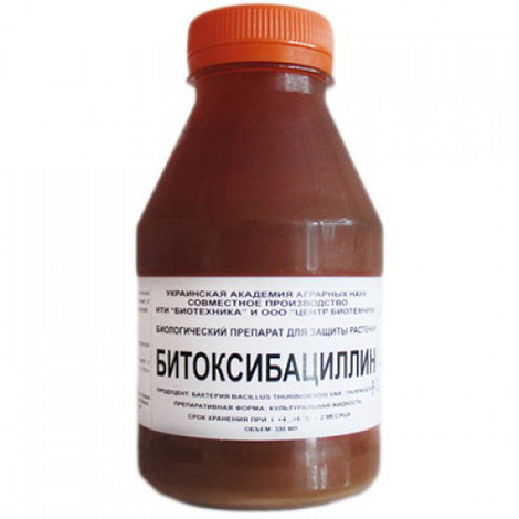 Bitoxibacillin has been successfully used to kill potato moths