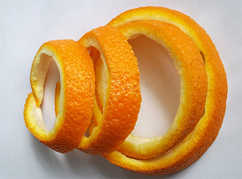 As cascas de laranja são eficazes para repelir traças, mas precisam ser trocadas com bastante frequência.