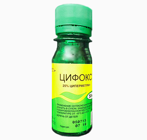 Liečivo Cyfox je celkom úspešne používané deratizátormi na ničenie ploštice domácej.