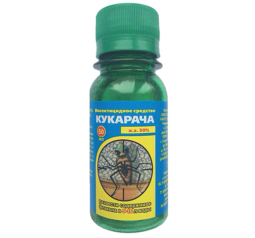Cucaracha je podobná Cyfoxovi