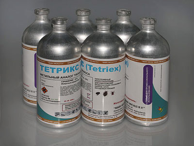 O medicamento Tetrix é muito eficaz contra percevejos, mas não é fácil obtê-lo.