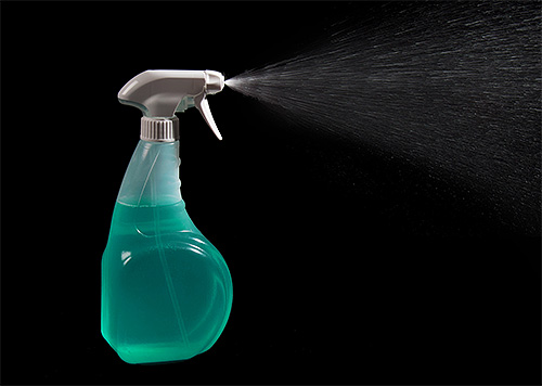 Para tratar o quarto de percevejos, a solução pode ser despejada em um frasco de spray convencional