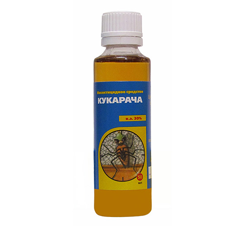 Avant utilisation, Cucaracha doit être dilué avec de l'eau.
