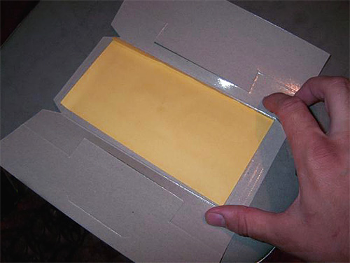 Le trappole appiccicose utilizzate per controllare gli scarafaggi possono essere adatte per uccidere le cimici.
