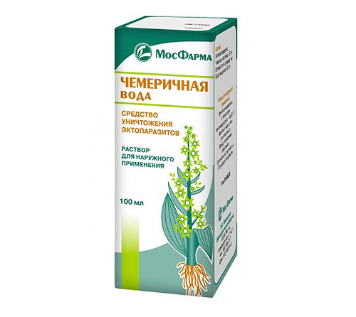 Voda z čemerice - nie menej známa ako ocot, liek na vši