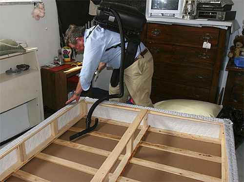 Bedbugs can be destroyed by compressed gases, which are greatly cooled during expansion, or by hot steam (air)