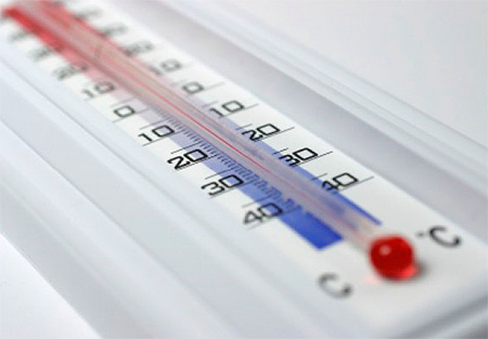 Disinsection of an apartment can also be carried out by freezing it or treating it with heat.