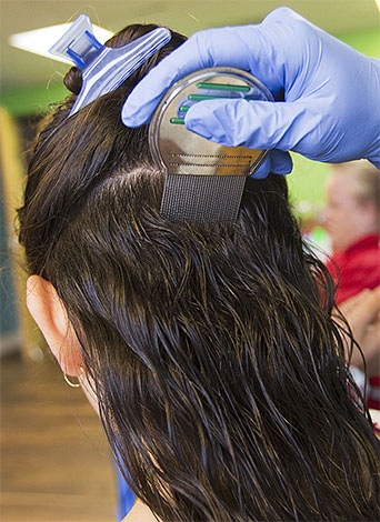 Dopo aver lavato i capelli con uno speciale shampoo insetticida, è consigliabile pettinare ulteriormente pidocchi e lendini con un pettine