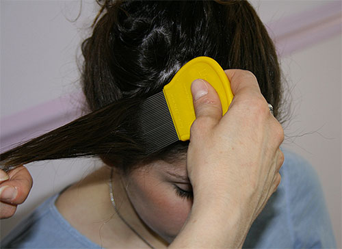 Se hai scelto un metodo meccanico per rimuovere le lendini, devi pettinare i capelli con molta attenzione, ciocca per ciocca.