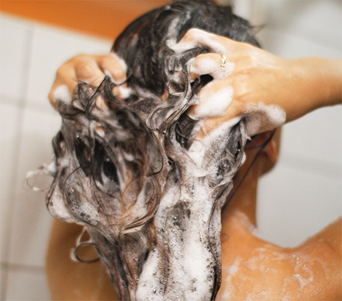 Avant d'utiliser de l'eau d'hellébore, vous devez d'abord vous laver les cheveux avec un shampooing ordinaire.