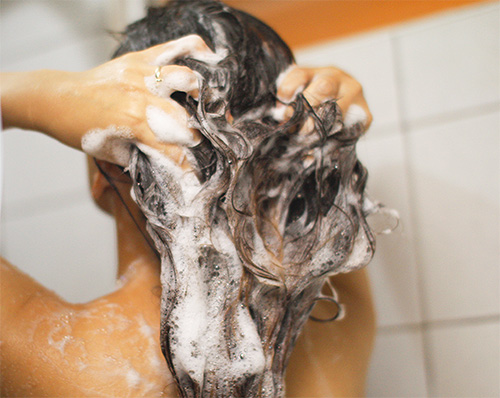 Les shampooings pédiculicides doivent être appliqués sur les cheveux mouillés