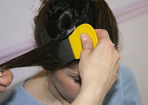 Après avoir traité la tête avec un spray ou un shampooing, peignez les poux avec un peigne spécial, mèche par mèche.