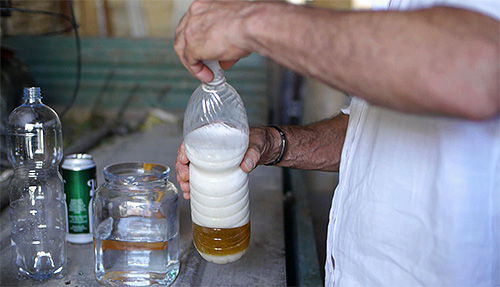 Una delle trappole più attraenti per vespe e calabroni è quella che usa la birra come esca.