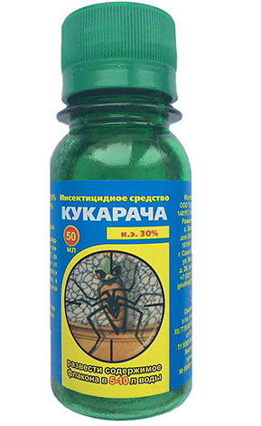 Cucaracha spray concentrate is effective against bedbugs, but has an unpleasant odor