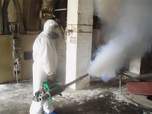 Often more powerful insecticides are used in spray concentrates than in ready-made aerosols.