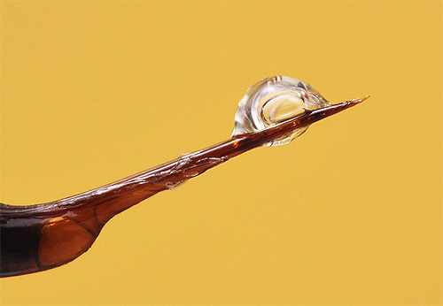 The photo shows a hornet sting with poison