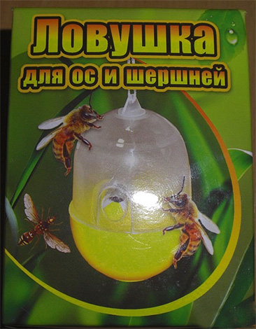 The photo shows an example of an industrial wasp and hornet trap.