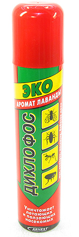 Hornets in the nest can be destroyed with a plastic bag sprayed with, for example, Dichlorvos