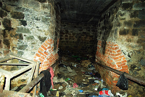 Often insects can enter the apartment from the basement of the house (basement fleas)