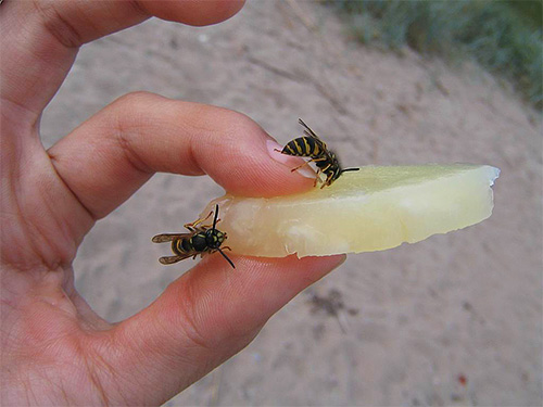 Ibland kan kroppens reaktion på insektsgift vara så snabb att offret helt enkelt inte har tid att ge nödvändig hjälp.
