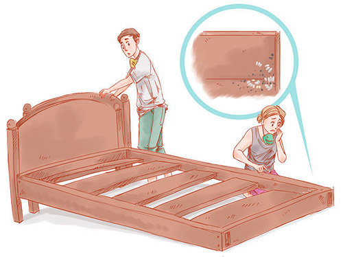 If bedbugs reappear shortly after the destruction, the company must re-treat under warranty free of charge.
