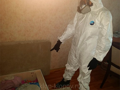 The Dezcenter company, in addition to the destruction of bedbugs, also provides services for the removal of various types of other insects and rodents.