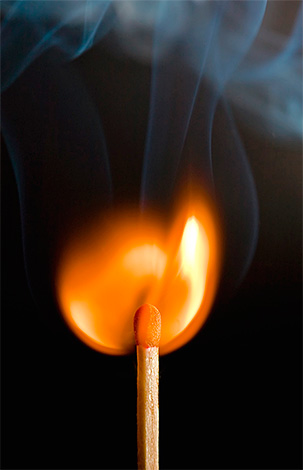 You can get rid of the nest of wasps with the help of fire, but this is a rather fire-hazardous method.
