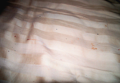 De petites taches de sang sur le lit peuvent indiquer la présence de punaises de lit dans la maison.