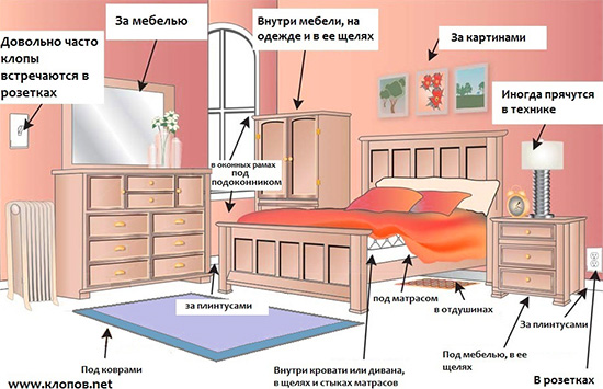La photo montre les endroits où les punaises de lit se cachent le plus souvent dans la maison.