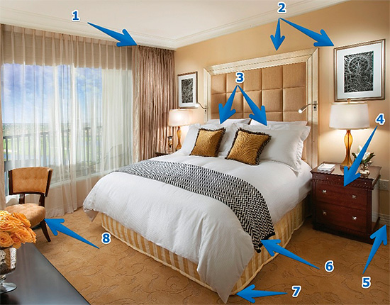 A imagem mostra a possível localização de ninhos de percevejos no apartamento, que deve ser processado primeiro.