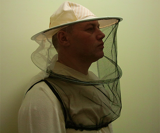 Pour éviter les piqûres, vous devez utiliser un masque d'apiculteur spécial.