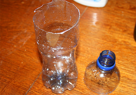 Una trappola per vespe altamente efficace è facile da realizzare con una normale bottiglia di plastica.