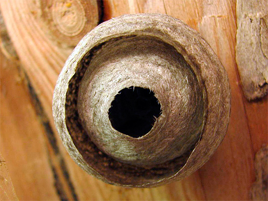 La foto mostra un vespaio sotto il tetto di una casa di legno.